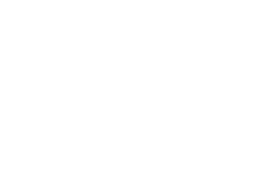 Meat